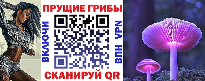 магазин  наркотиков  мега вход  Псилоцибиновые грибы прущие грибы  Рассказово 